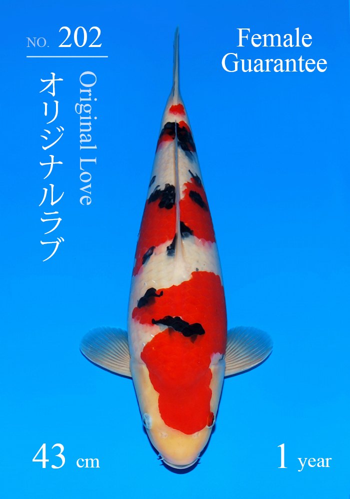オリジナルラブ