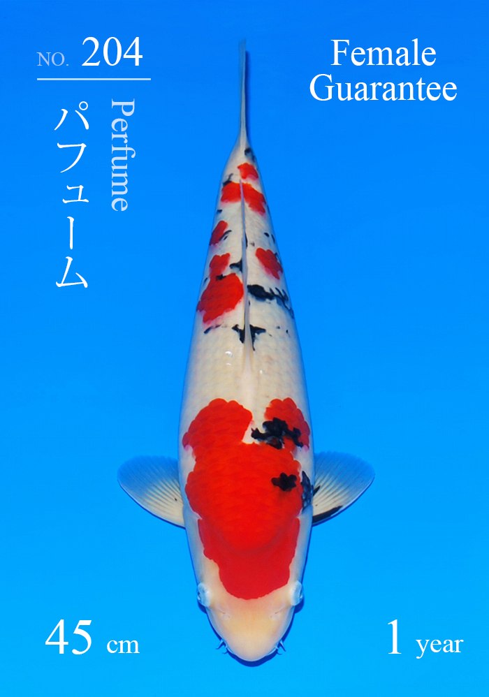 パフューム
