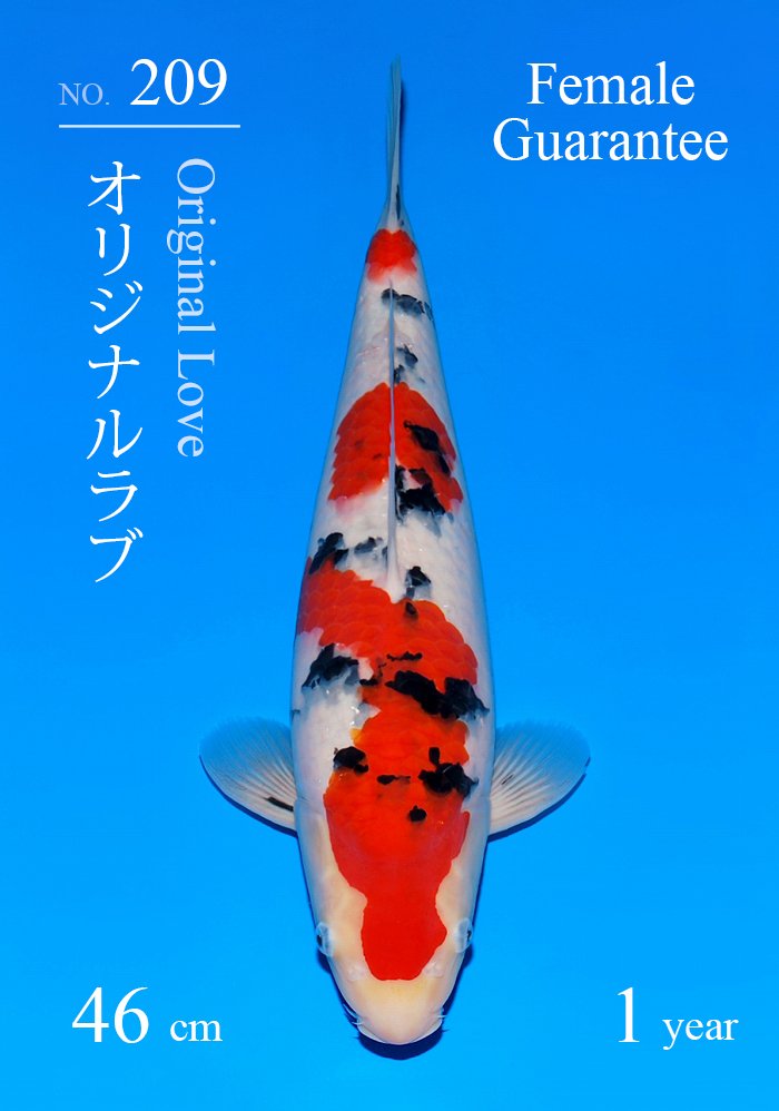 オリジナルラブ