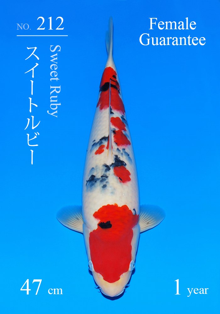 スイートルビー