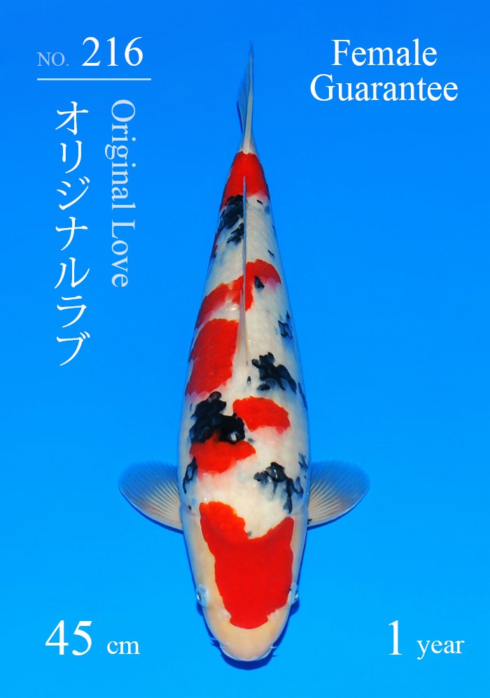 オリジナルラブ