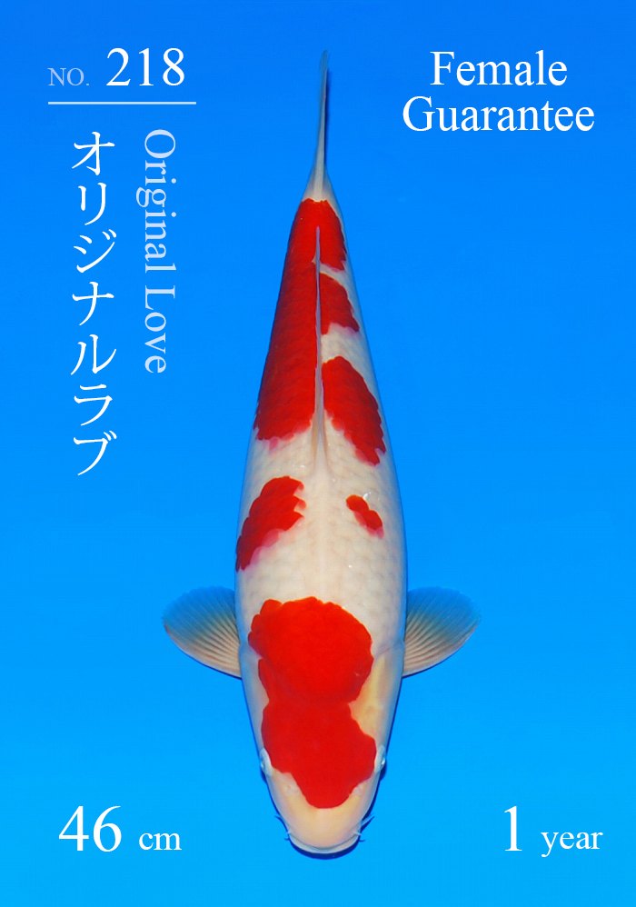 オリジナルラブ