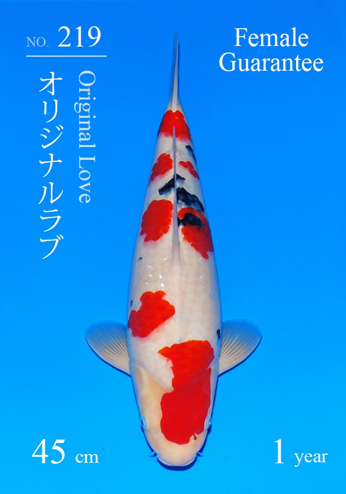 オリジナルラブ