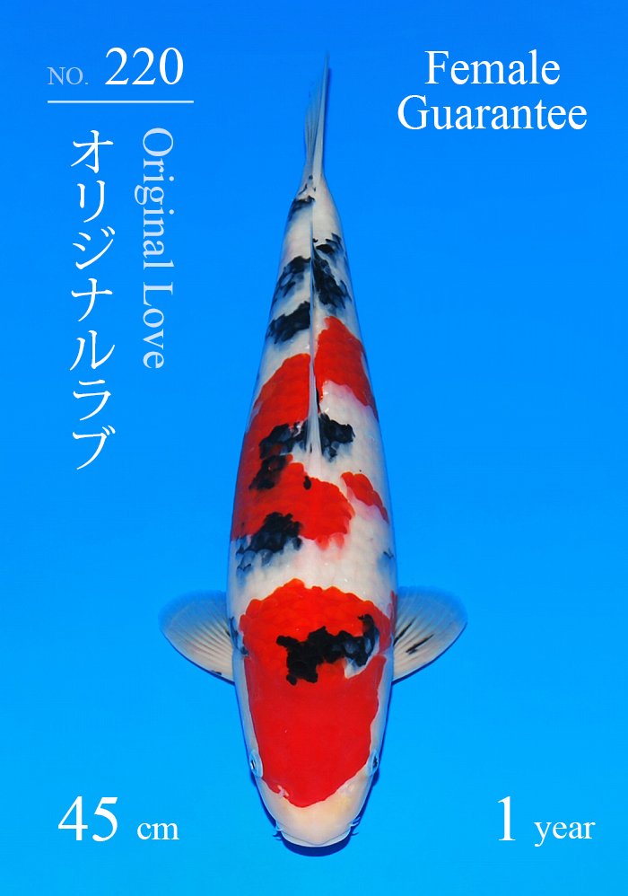 オリジナルラブ