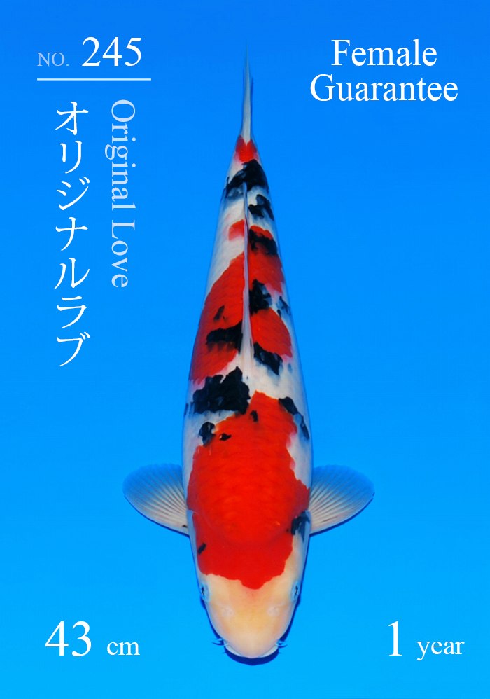 オリジナルラブ