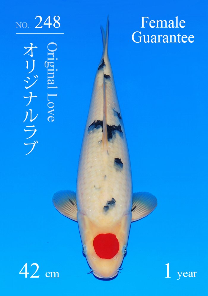 オリジナルラブ