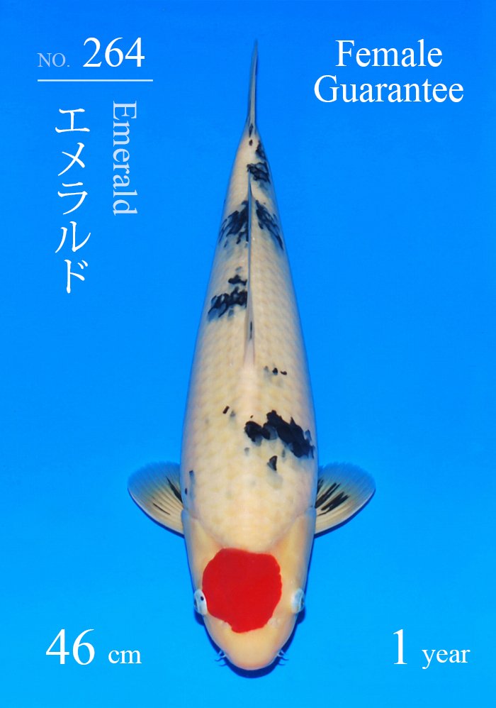 エメラルド