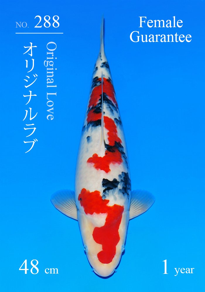 オリジナルラブ