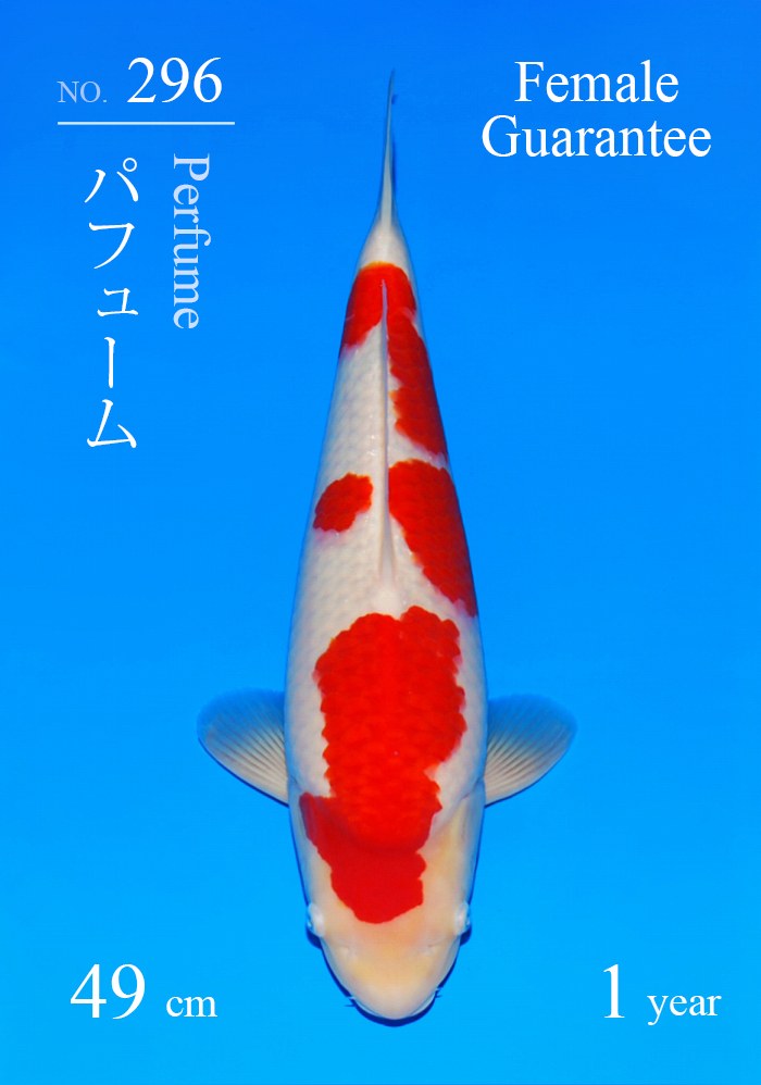 パフューム