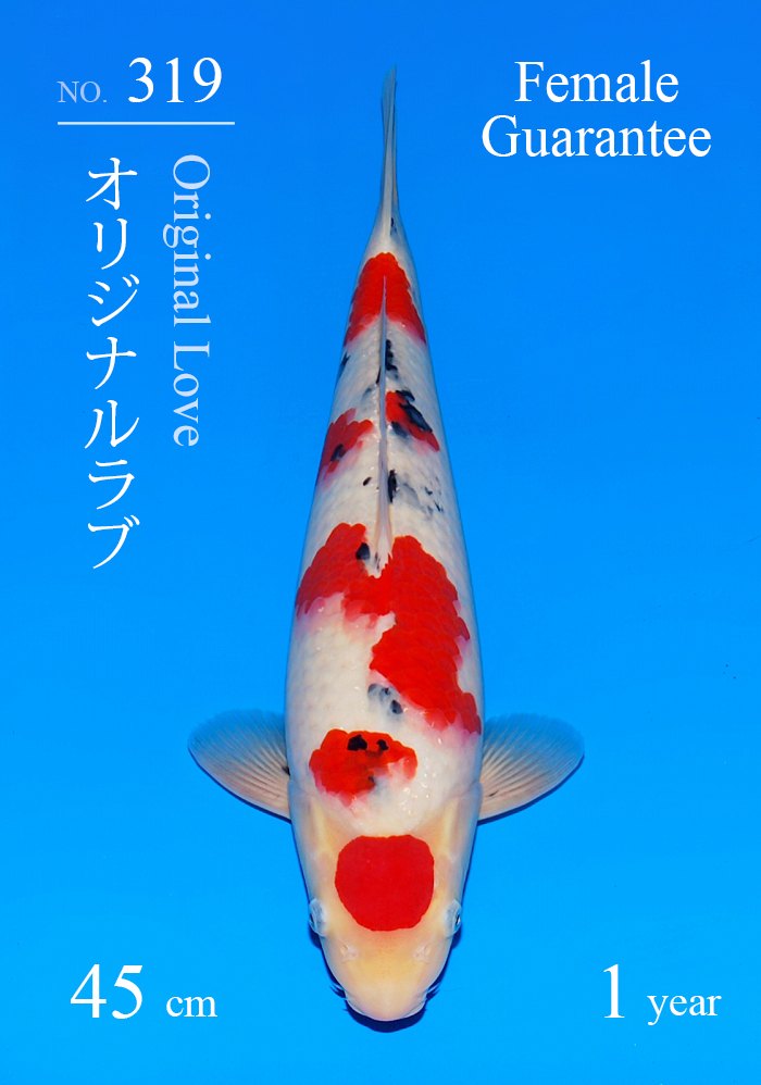 オリジナルラブ
