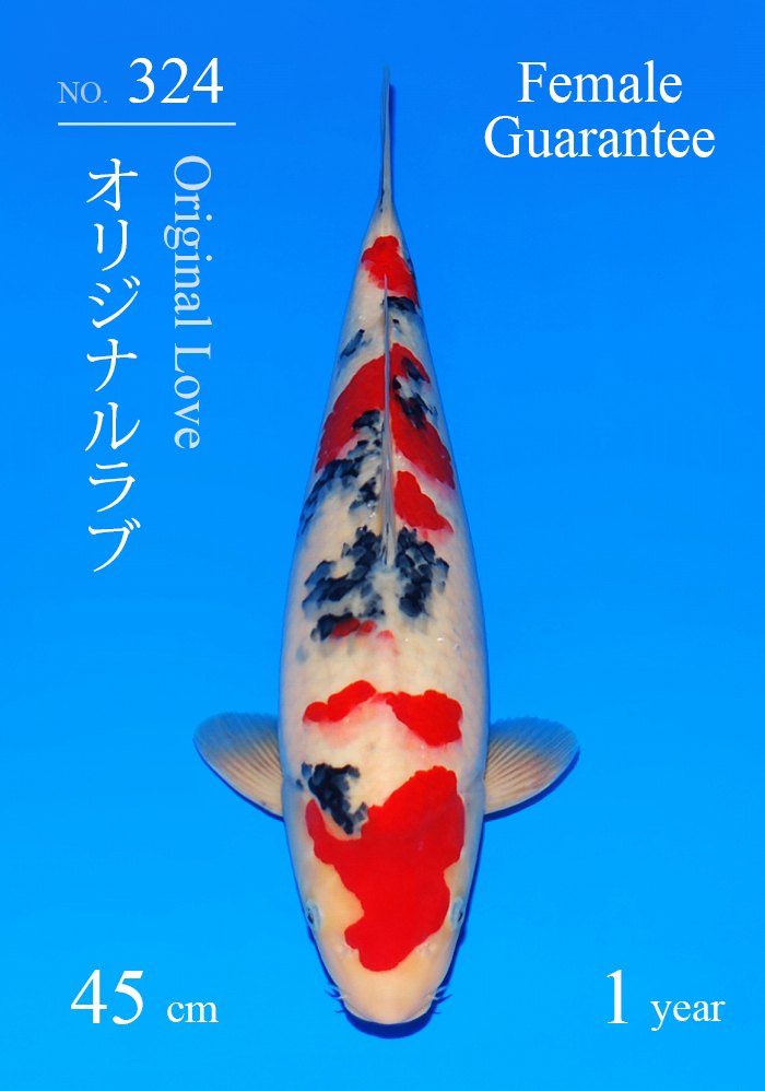 オリジナルラブ